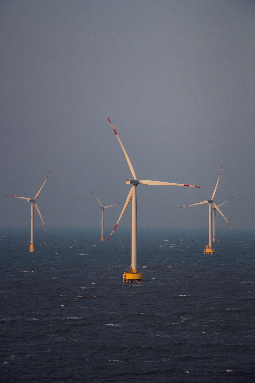 Offshore Wind Farms
